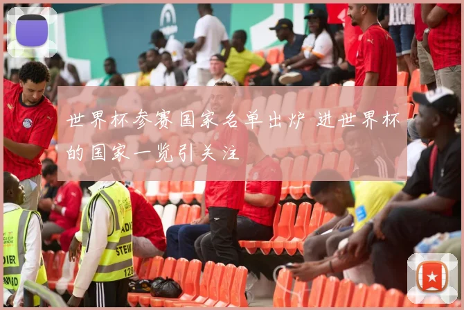 世界杯参赛国家名单出炉 进世界杯的国家一览引关注