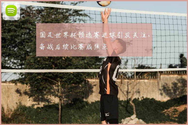 国足世界杯预选赛进球引发关注,备战后续比赛成焦点