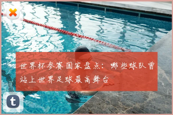 世界杯参赛国家盘点：哪些球队曾站上世界足球最高舞台