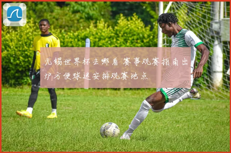 无锡世界杯去哪看 赛事观赛指南出炉方便球迷安排观赛地点