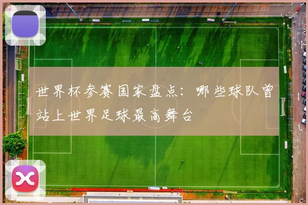 世界杯参赛国家盘点：哪些球队曾站上世界足球最高舞台
