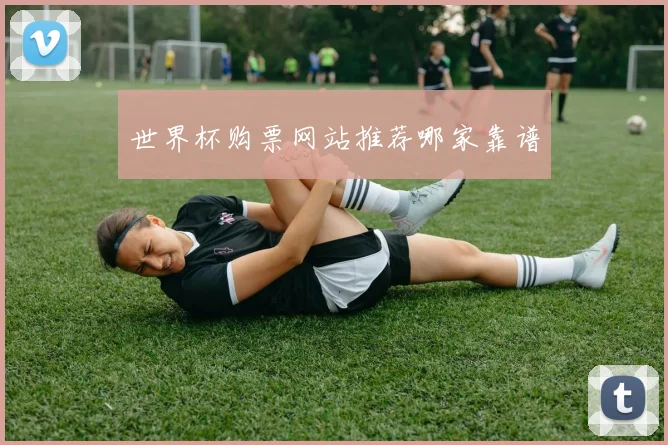 世界杯购票网站推荐哪家靠谱