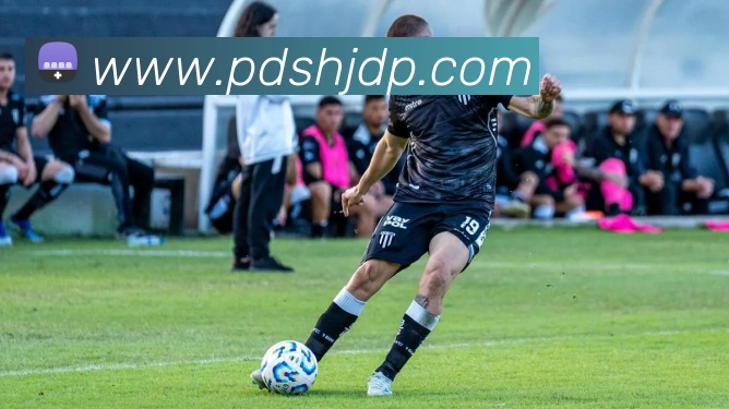 App Interface Preview